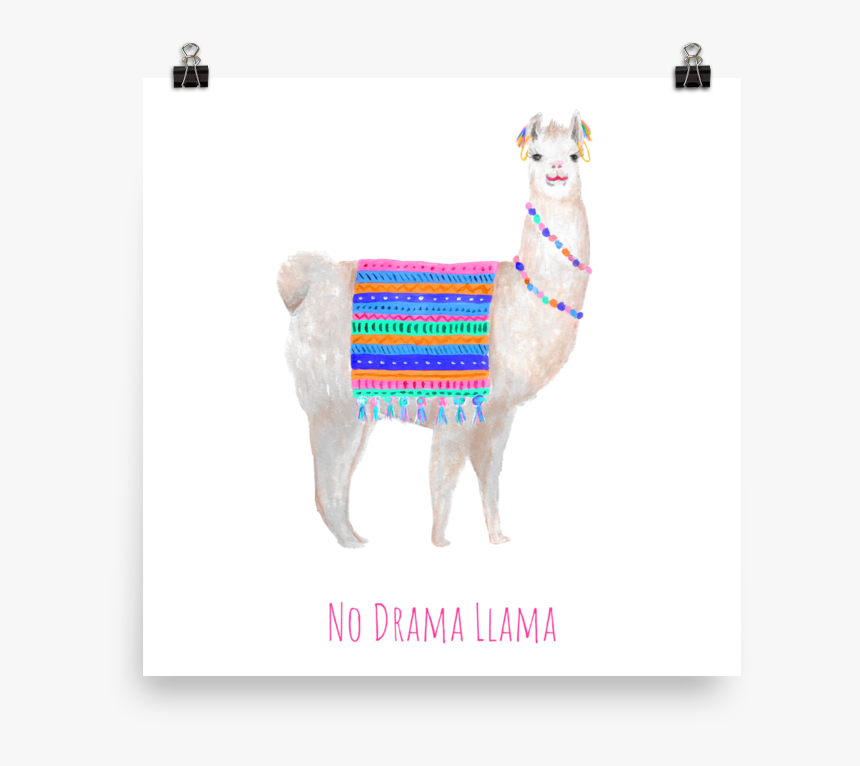 No Drama Llama Poster - Llama, HD Png Download, Free Download