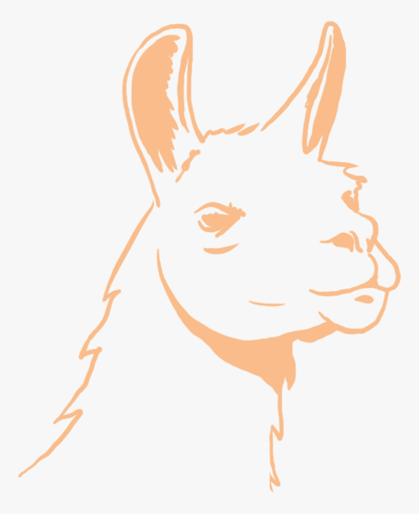 The Peruvian Llama Elsita"s Mother"s Family Is From - Illustration, HD Png Download, Free Download