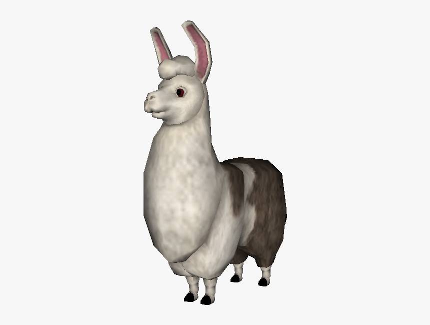 Llama, HD Png Download, Free Download