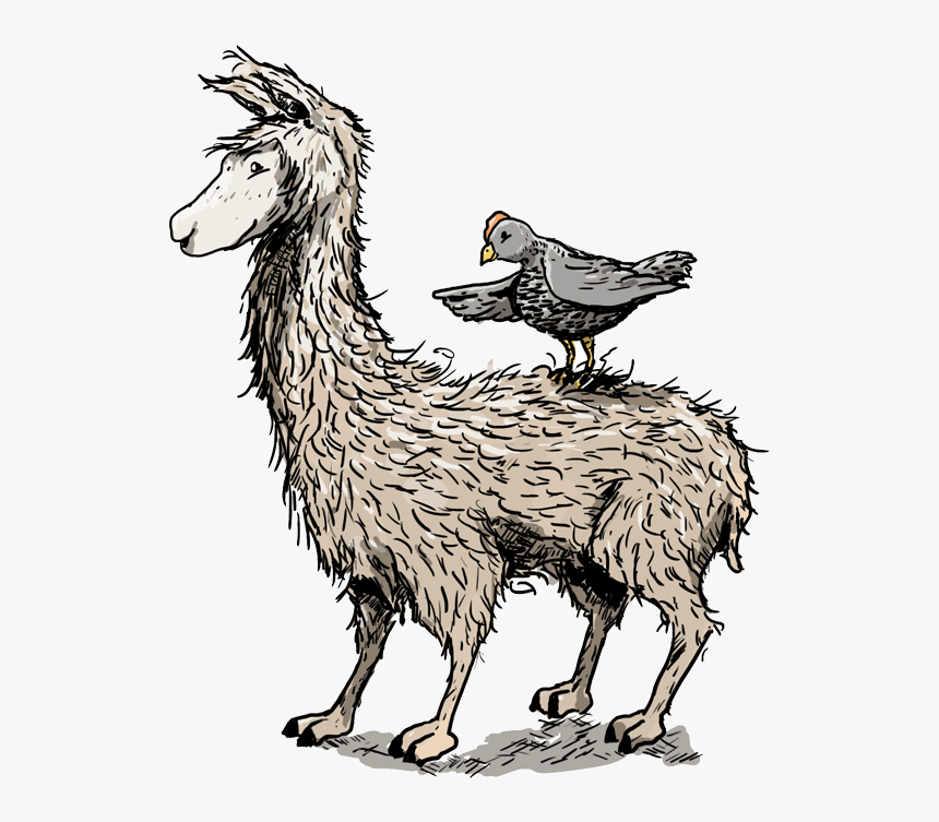 Llama , Png Download - Cartoon, Transparent Png, Free Download