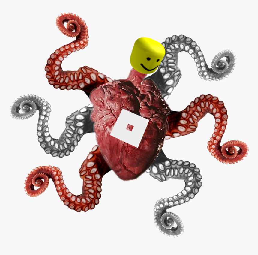 Fan Kaiju Wikia - Octopus, HD Png Download, Free Download