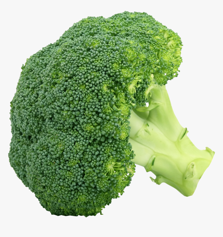Broccoli Pictures Of Vegetables, HD Png Download, Free Download