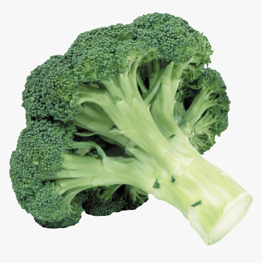 Broccoli - Holy Shit Is That A Motherfucking Reference, HD Png Download, Free Download