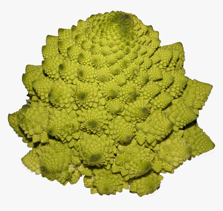 Romanesco Broccoli - کلم رومی, HD Png Download, Free Download