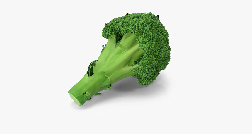 Broccoli Png Transparent Image - Portable Network Graphics, Png Download, Free Download