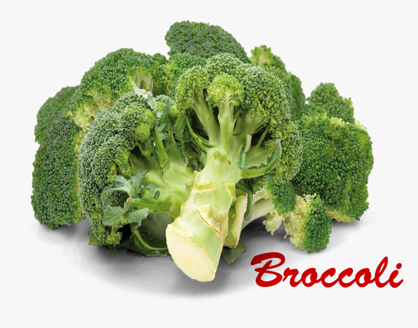 Broccoli Png Picture - Broccoli Images With Names, Transparent Png, Free Download
