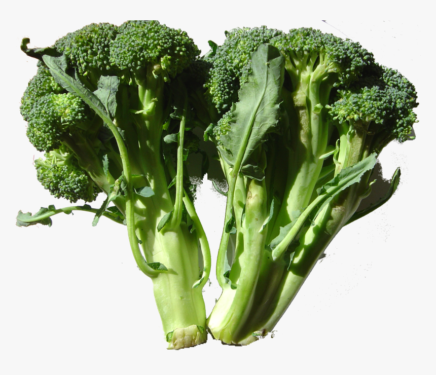 Broccoli Dsc00861 - Stems And Shoots Vegetables, HD Png Download, Free Download