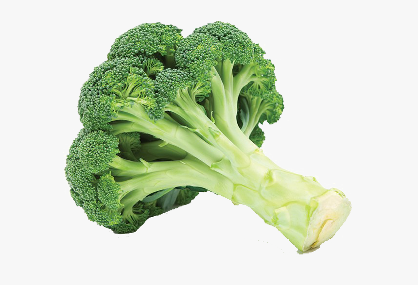 Green Broccoli Png Free Image Download - Broccoli A Vegetable, Transparent Png, Free Download