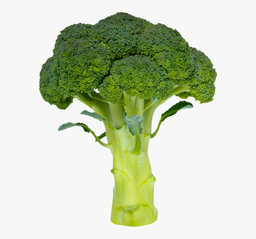 Broccoli Simple Or Complex Carbohydrate - Coke A Simple Or Complex Carbohydrate, HD Png Download, Free Download