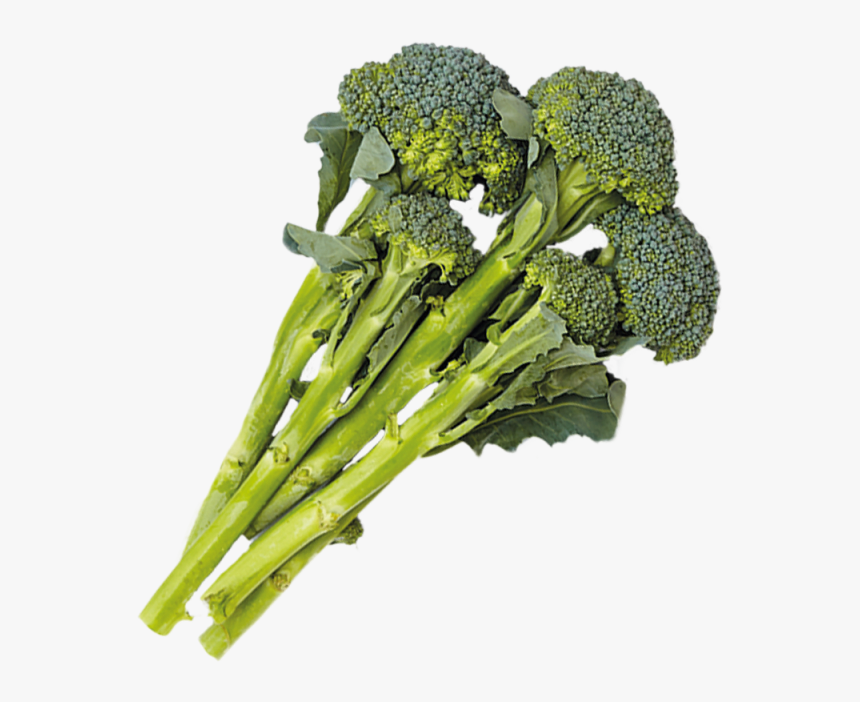 Broccoli , Png Download - Broccoli, Transparent Png, Free Download