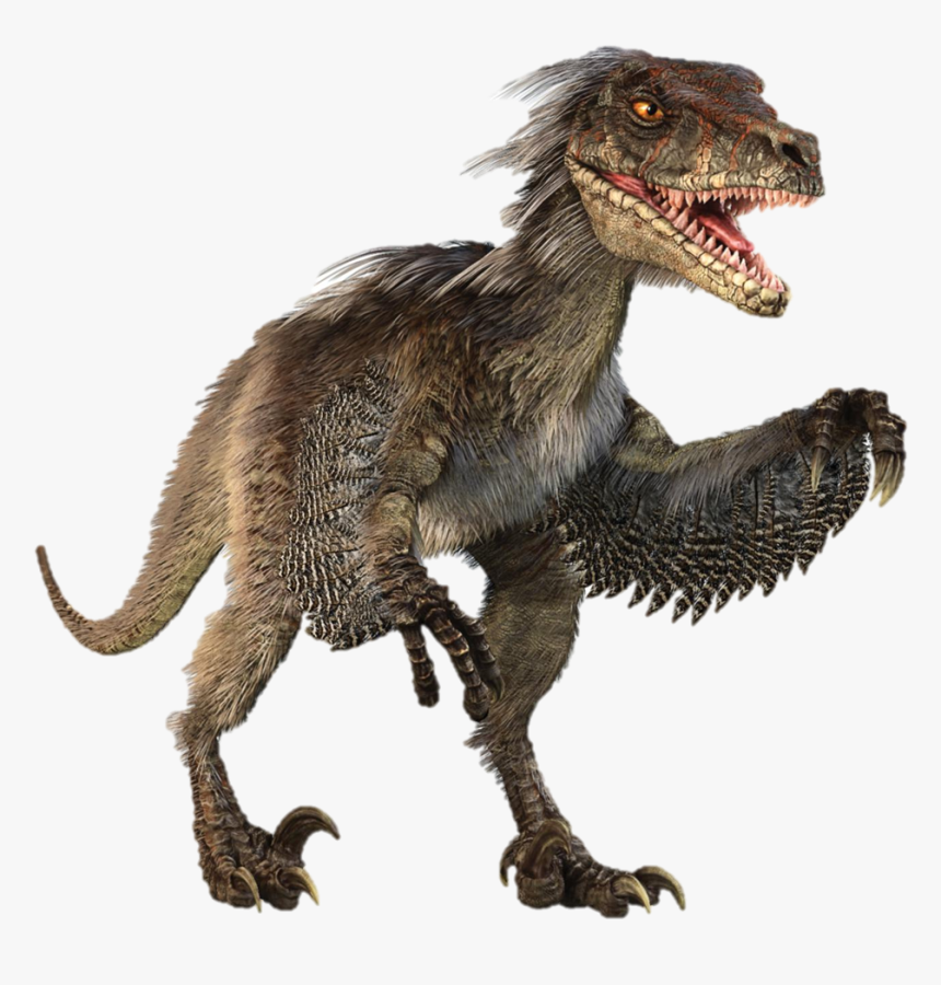 Velociraptor Png Free Download - Raptor Dinosaur, Transparent Png, Free Download