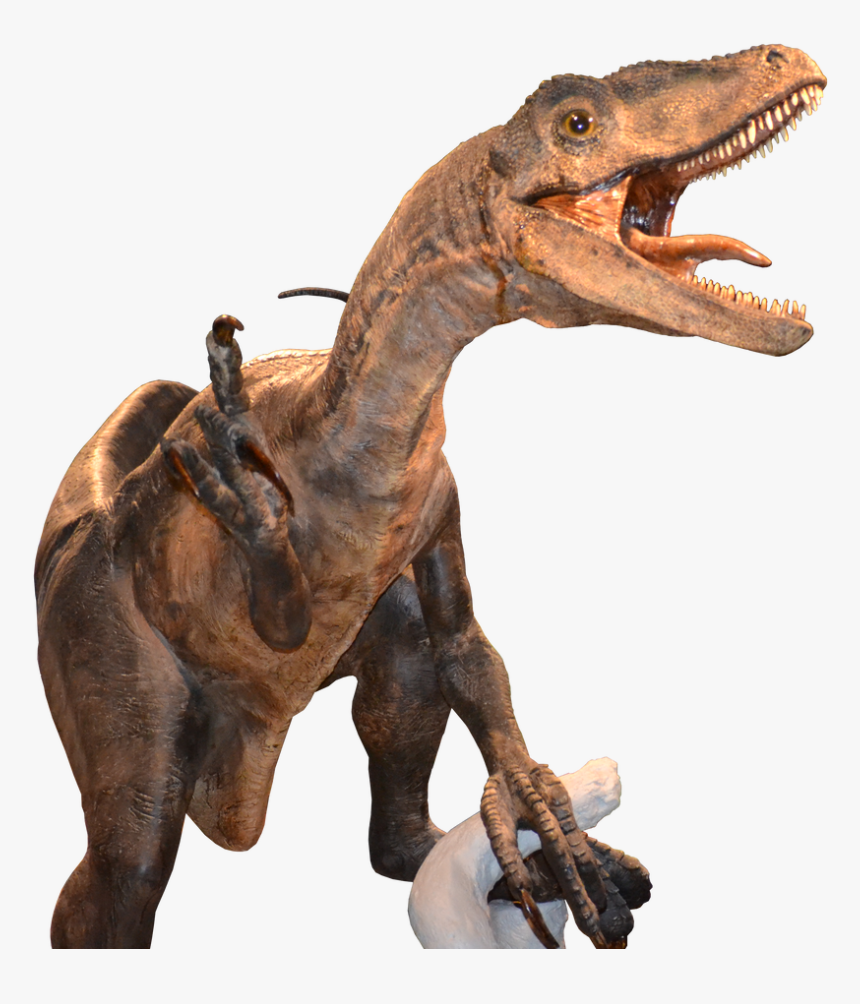 #dinosaur #raptor #velociraptor - Пнг Раптор, HD Png Download, Free Download