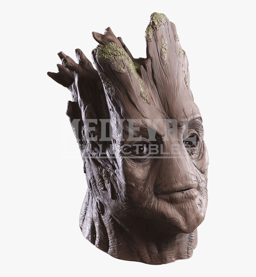 Transparent Groot Png - Adult Groot Costume, Png Download, Free Download