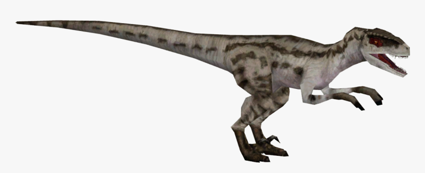 Velociraptor , Png Download - Velociraptor, Transparent Png, Free Download