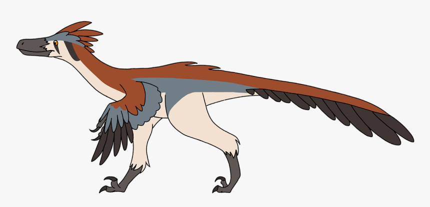 Velociraptor, Dinosaur, Feathers, Cretaceous, Dino - Cartoon Velociraptor With Feathers, HD Png Download, Free Download