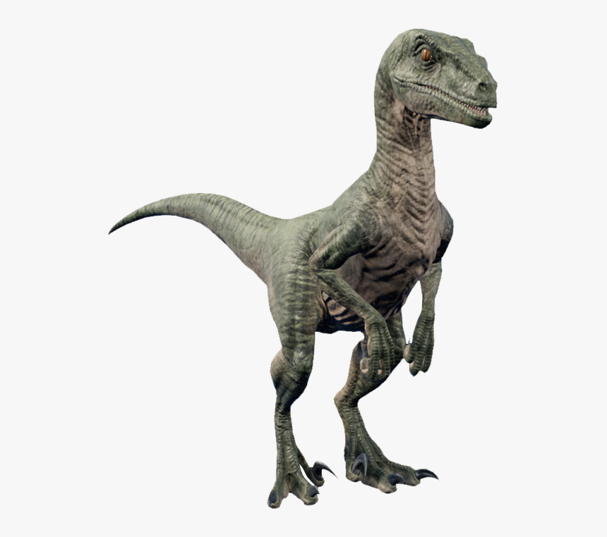   - Velociraptor Dinosaur, HD Png Download, Free Download