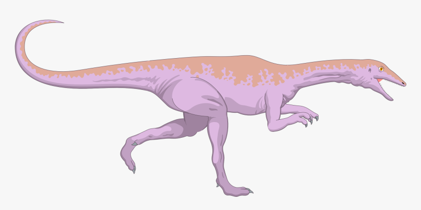 Compsognathus Dinosaur Velociraptor - Compsognathus Gif, HD Png Download, Free Download