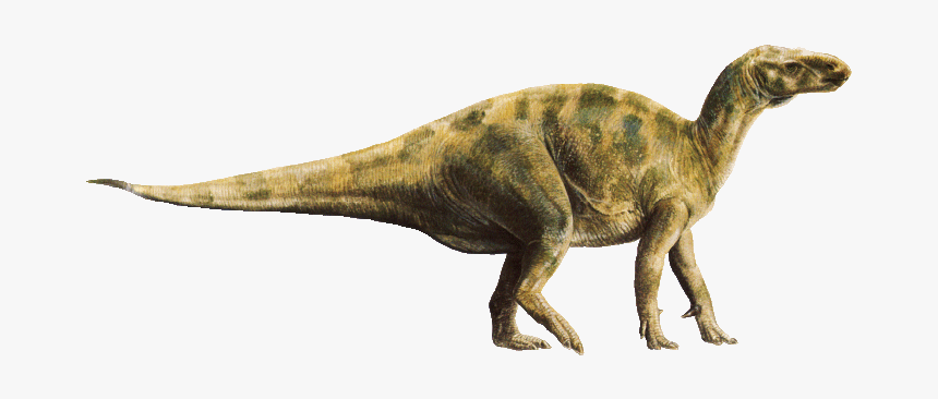 Iguanodon, HD Png Download, Free Download