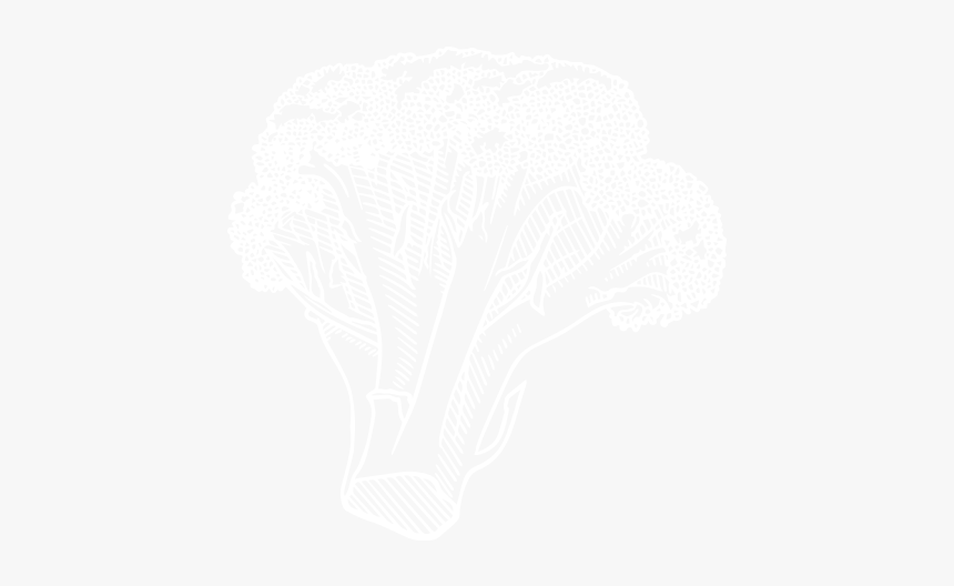 Broccoli - Broccoli Black And White Png, Transparent Png, Free Download