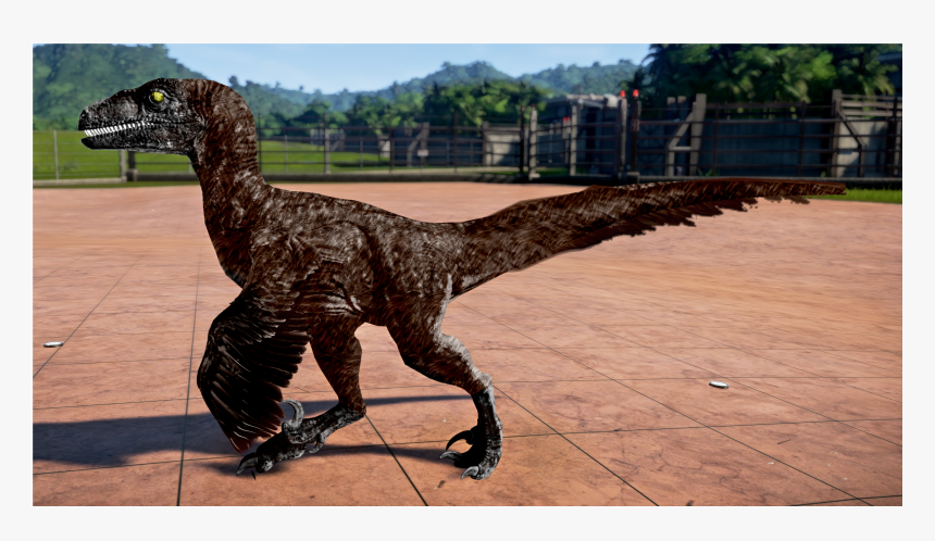 Velociraptor Png, Transparent Png, Free Download