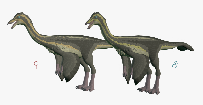 Duckling Gallimimus The Archotek Project - Portable Network Graphics, HD Png Download, Free Download