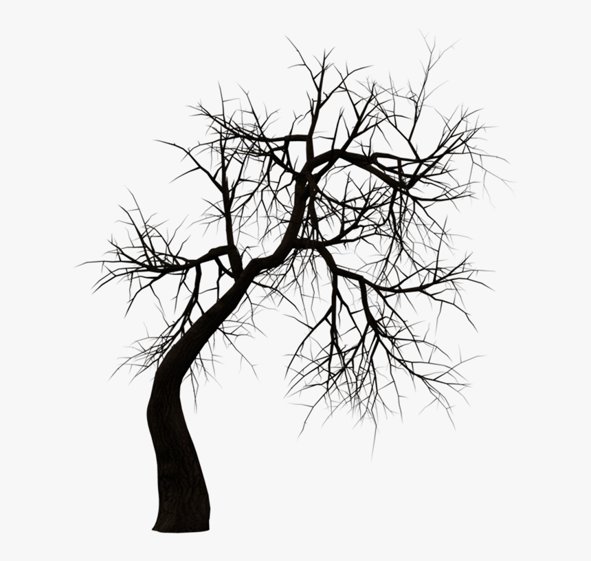 Kuntilanak Terbang Tree Clip Art - Tree Silhouette Png Horror, Transparent Png, Free Download