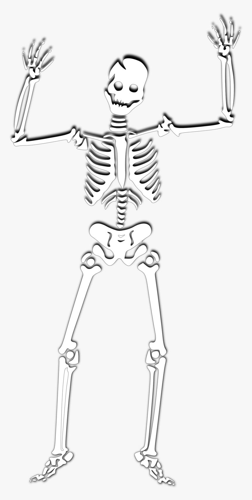 Spooky Scary Skeletons Png, Transparent Png, Free Download