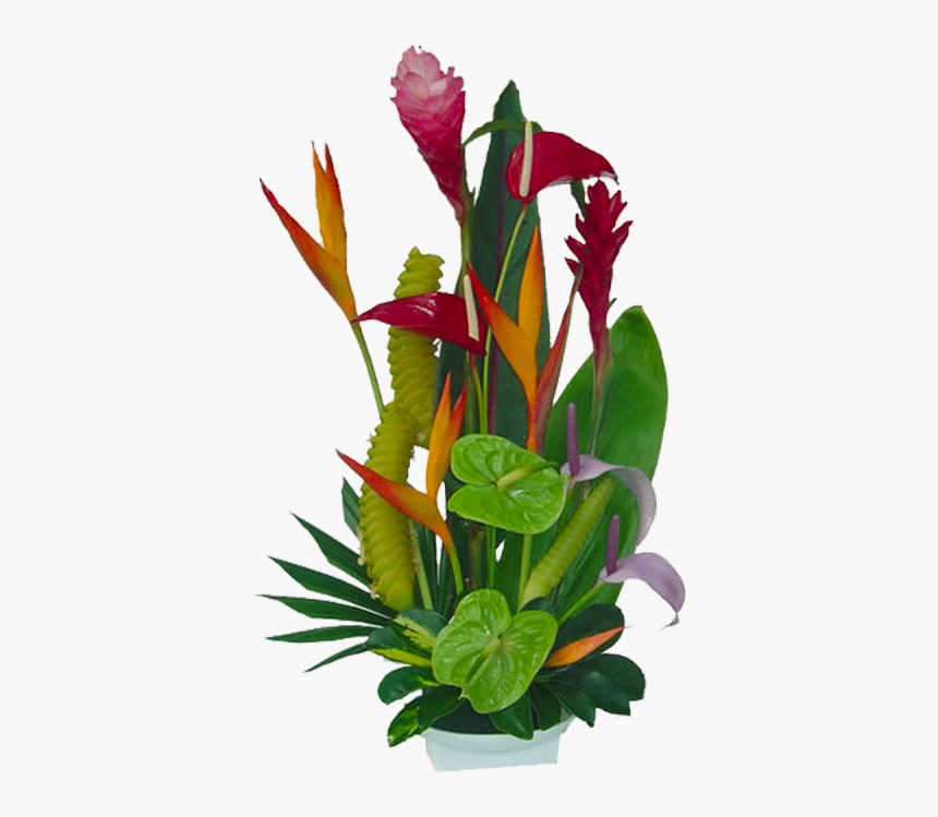 Tropical Flowers Florida Landscaping 20710 Tropical - Vector Graphic Tropical Flowers Png, Transparent Png, Free Download