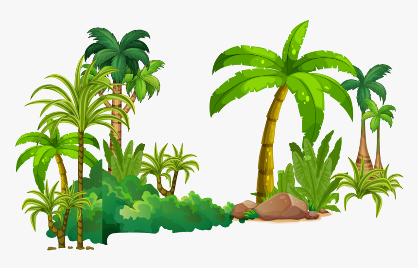 Tree Tropical Rainforest Euclidean Vector - Transparent Rainforest Clip Art, HD Png Download, Free Download