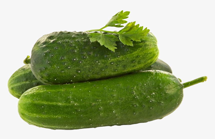 Cucumbers Png - Cucumber Png, Transparent Png, Free Download