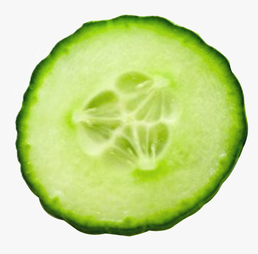 Cucumber Png, Transparent Png, Free Download