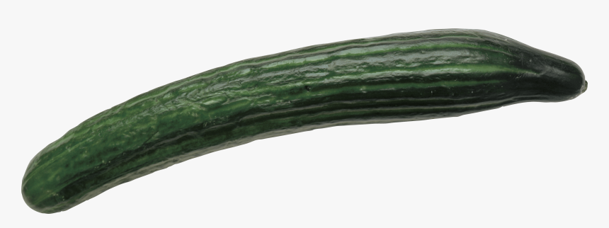 Cucumber Png, Transparent Png, Free Download