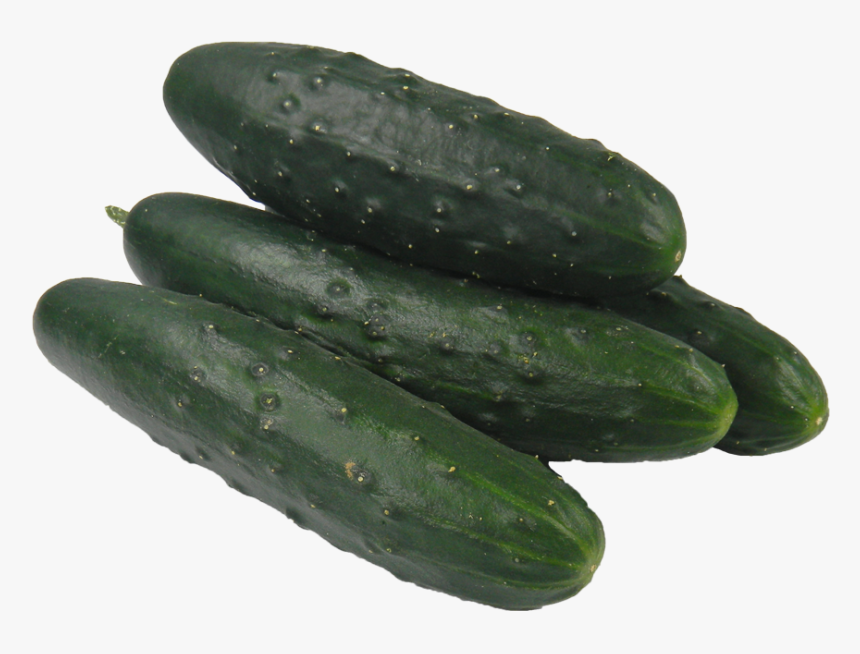 Pickled Cucumber Vegetable Spreewald Gherkins - Cucumber, HD Png Download, Free Download