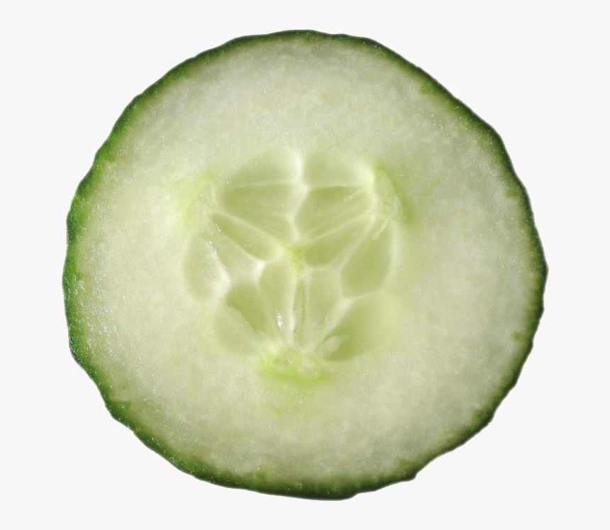 Cucumbers Png Image - Transparent Background Cucumber Slice Png, Png Download, Free Download