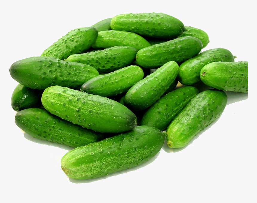 Cucumbers Transparent Background - Cucumber On White Background Hd, HD Png Download, Free Download