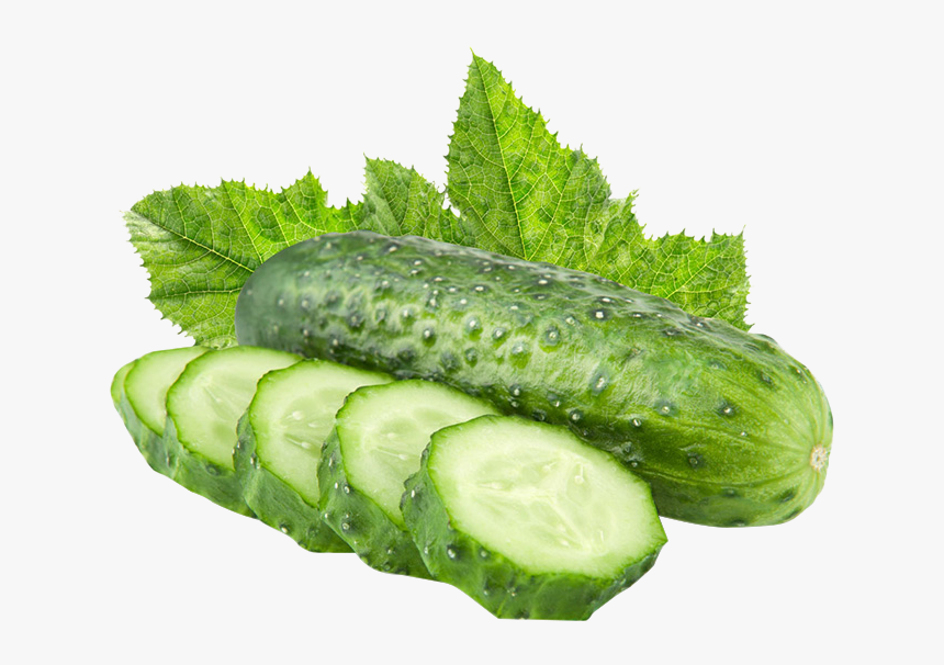 Cucumber Png Free, Transparent Png, Free Download