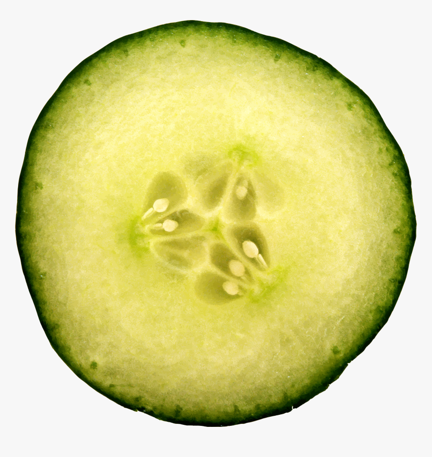 Cut Cucumber Clip Arts - Cucumber Slice No Background, HD Png Download, Free Download