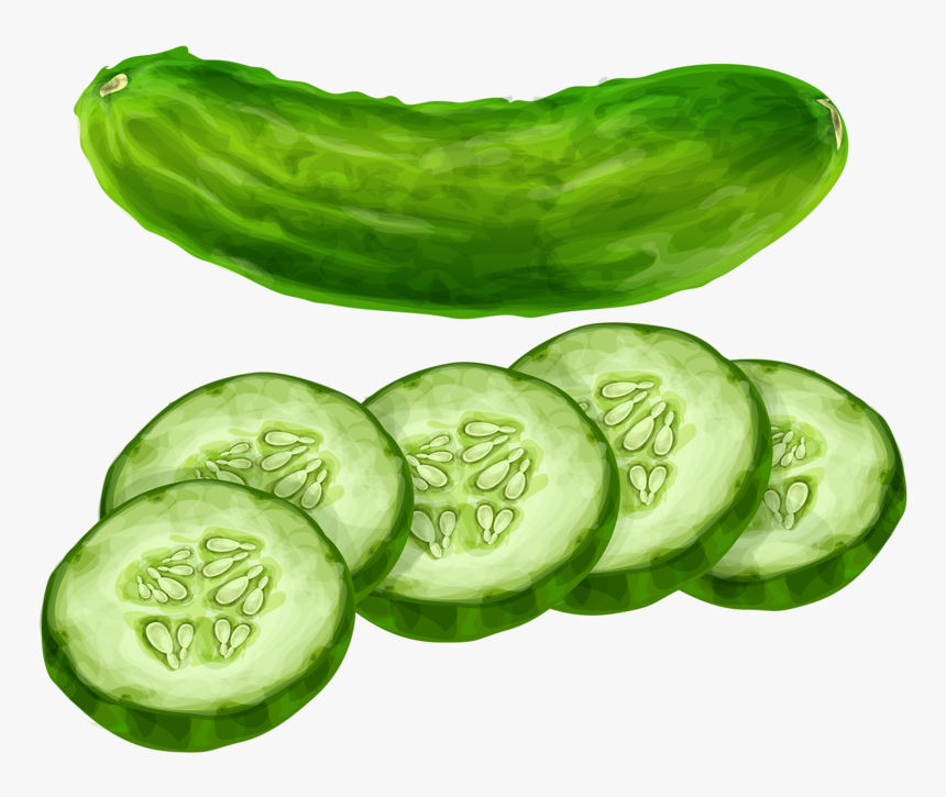 Vegetables Clipart Cucumber - Cucumber Clipart, HD Png Download, Free Download