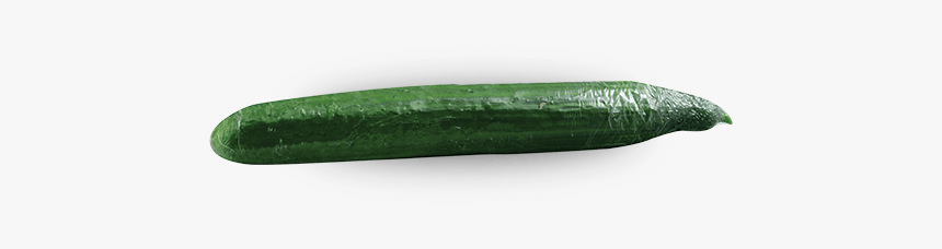 Single Cucumber Png Image - Zucchini, Transparent Png, Free Download