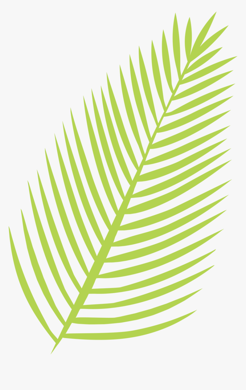 Palm Leaf Svg Cut File - Palm Leaves Svg, HD Png Download - kindpng.