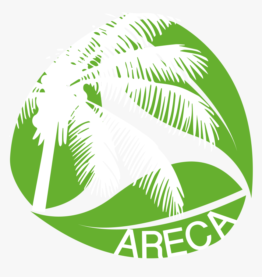 Areca Nut Tree Design, HD Png Download, Free Download