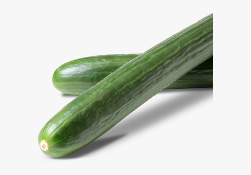 Clip Art Organic Long English Cucumbers - Cucumber, HD Png Download, Free Download