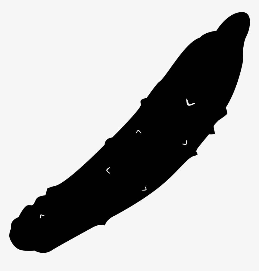 Cucumber - Chorizo Vector Png, Transparent Png, Free Download