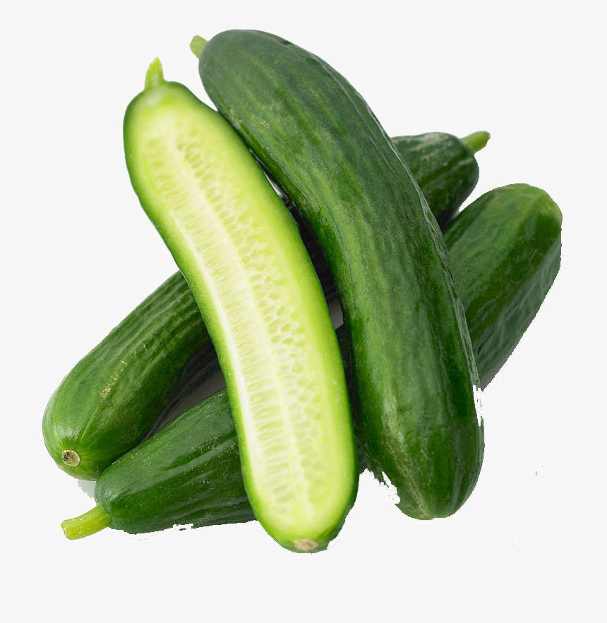 Cucumber Milk Melon Vegetable Food - Cucumber, HD Png Download, Free Download