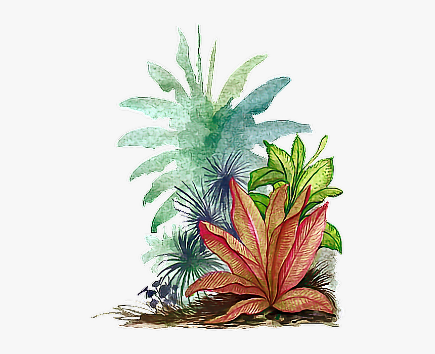 #watercolor #leaves #tropical - Tropical Leaf Png Transparent, Png Download, Free Download