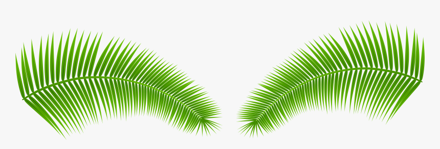 Clipart Leaves Palm Leaves - Transparent Background Palm Frond, HD Png Download, Free Download