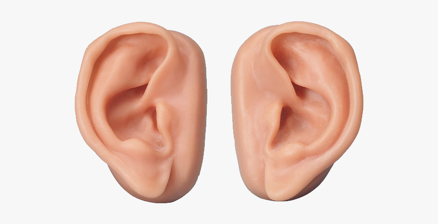 Ear Png - Transparent Background Ears Png, Png Download, Free Download