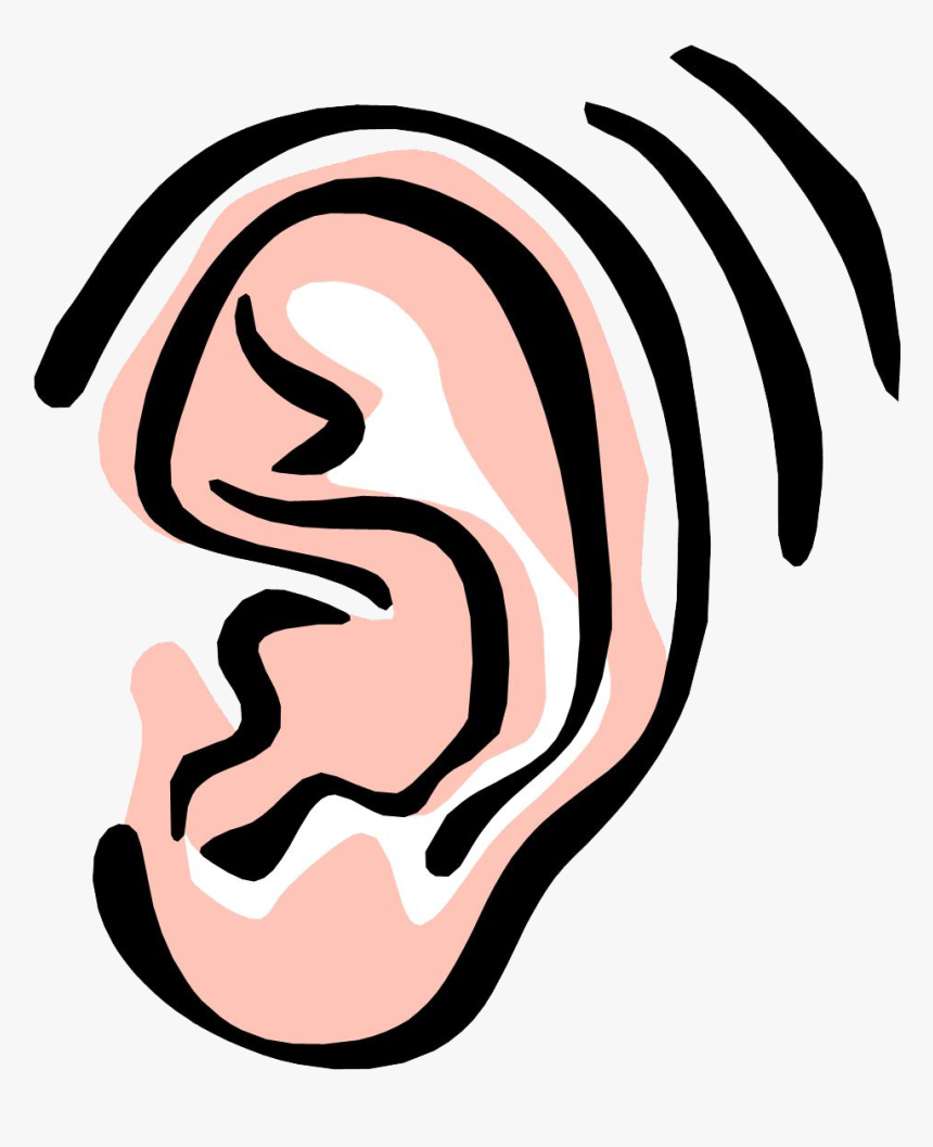 Ear Png Image - Ear Clipart Png, Transparent Png, Free Download