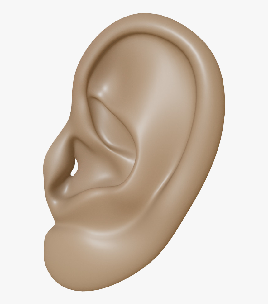 Download Ear Png Clipart - Human Ear Transparent Background, Png Download, Free Download
