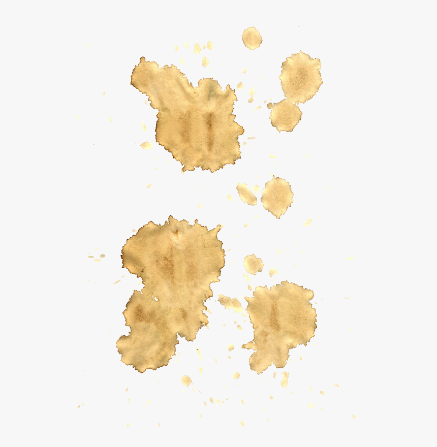 Coffee Stains Png, Transparent Png, Free Download